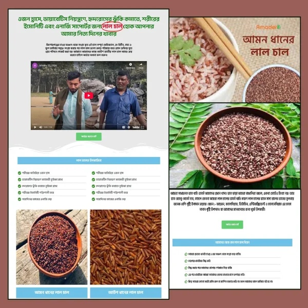 Red Rice - Cartflows Landing Page Template